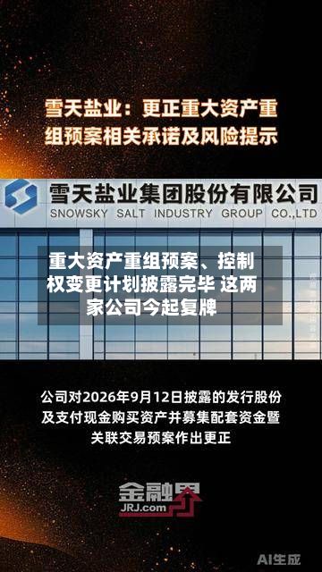 重大资产重组预案、控制权变更计划披露完毕 这两家公司今起复牌
