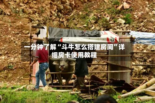 一分钟了解“斗牛怎么搭建房间	”详细房卡使用教程-第2张图片