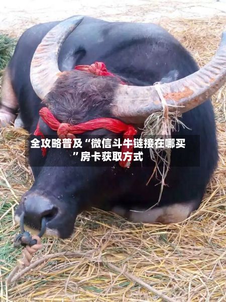 全攻略普及“微信斗牛链接在哪买”房卡获取方式