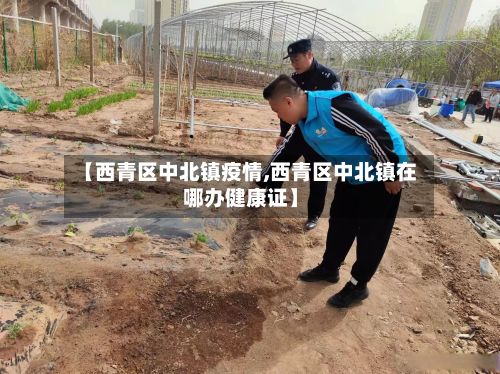 【西青区中北镇疫情,西青区中北镇在哪办健康证】