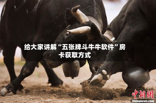 给大家讲解“五张牌斗牛牛软件”房卡获取方式