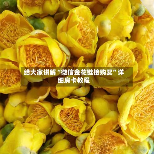 给大家讲解“微信金花链接购买”详细房卡教程-第2张图片