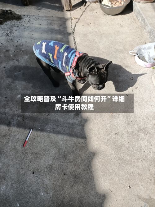 全攻略普及“斗牛房间如何开	”详细房卡使用教程-第2张图片
