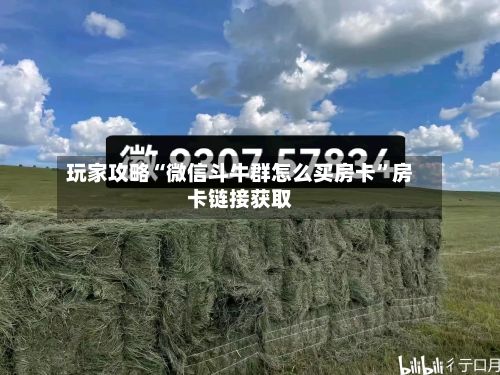 玩家攻略“微信斗牛群怎么买房卡”房卡链接获取
