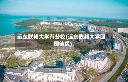 远东联邦大学有分校(远东联邦大学回国待遇)