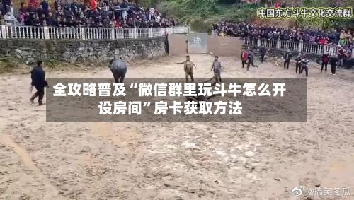全攻略普及“微信群里玩斗牛怎么开设房间”房卡获取方法-第2张图片