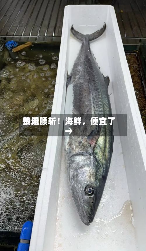费用接近腰斩！海鲜	，便宜了→-第2张图片