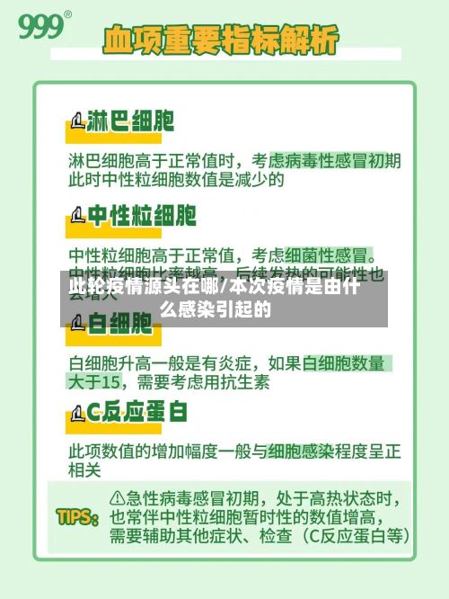 此轮疫情源头在哪/本次疫情是由什么感染引起的-第2张图片
