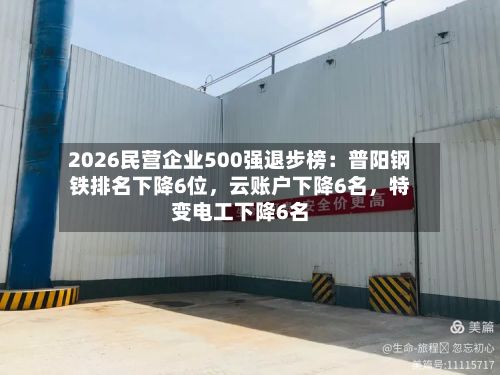 2026民营企业500强退步榜：普阳钢铁排名下降6位，云账户下降6名	，特变电工下降6名-第2张图片
