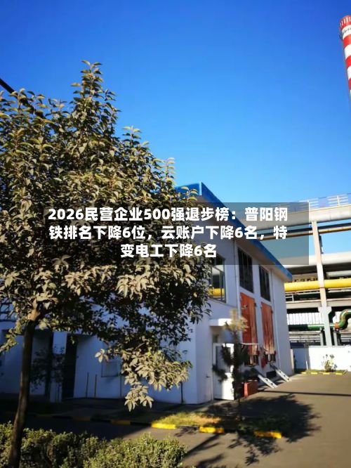 2026民营企业500强退步榜:普阳钢铁排名下降6位,云账户下降6名,特变电工下降6名