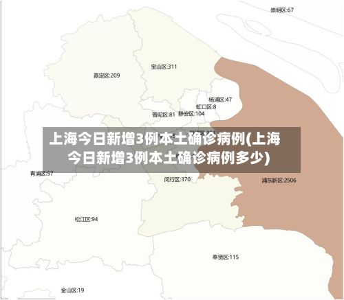 上海今日新增3例本土确诊病例(上海今日新增3例本土确诊病例多少)