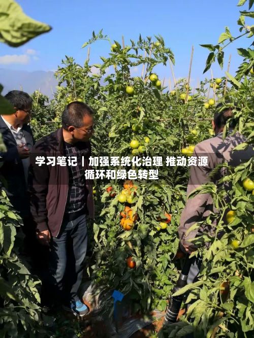 学习笔记｜加强系统化治理 推动资源循环和绿色转型-第2张图片
