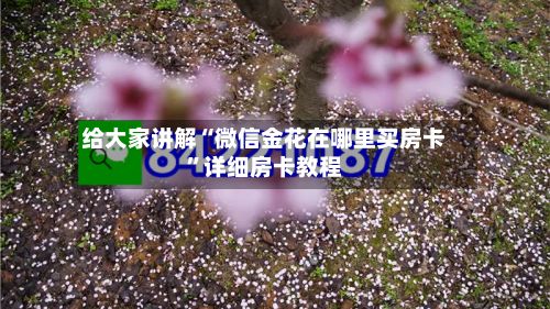 给大家讲解“微信金花在哪里买房卡	”详细房卡教程-第3张图片