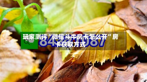 玩家测评“微信斗牛房卡怎么开”房卡获取方式