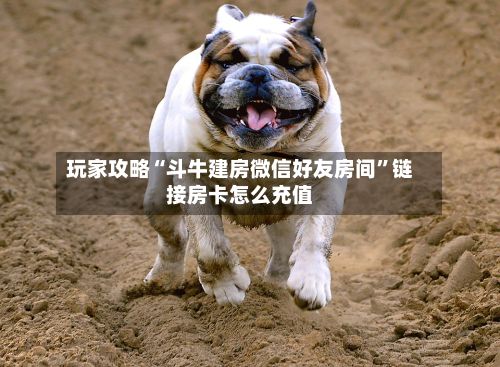 玩家攻略“斗牛建房微信好友房间”链接房卡怎么充值-第2张图片