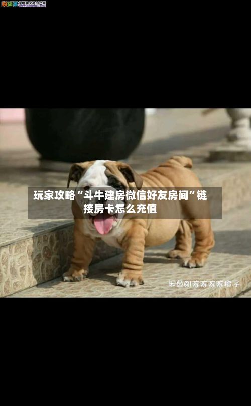 玩家攻略“斗牛建房微信好友房间”链接房卡怎么充值