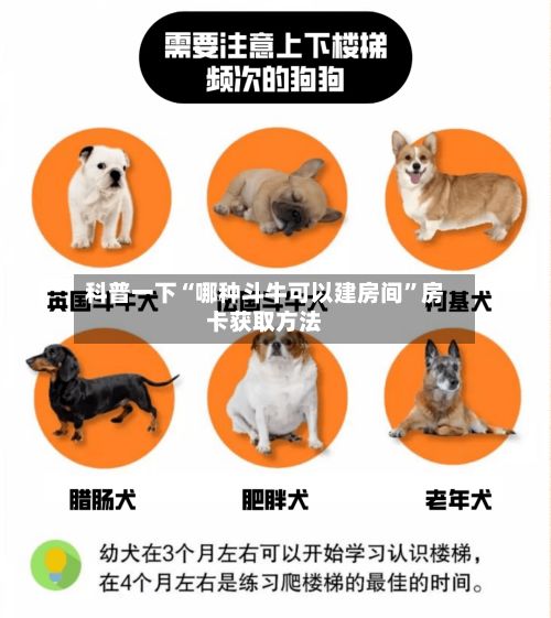科普一下“哪种斗牛可以建房间”房卡获取方法