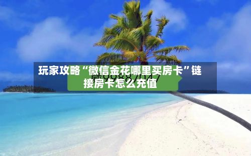 玩家攻略“微信金花哪里买房卡”链接房卡怎么充值-第2张图片