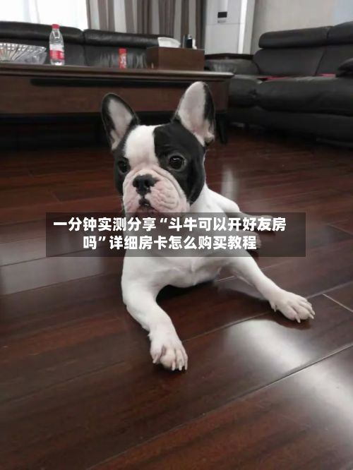 一分钟实测分享“斗牛可以开好友房吗”详细房卡怎么购买教程-第3张图片