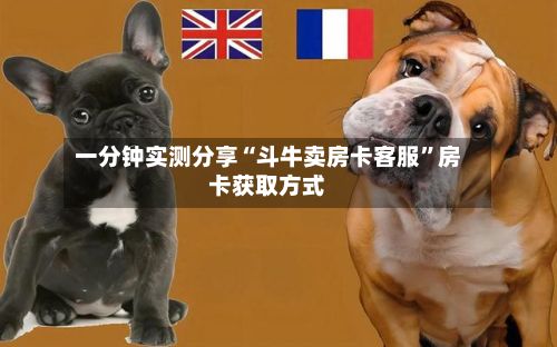 一分钟实测分享“斗牛卖房卡客服”房卡获取方式