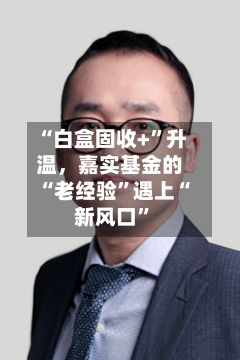 “白盒固收+”升温,嘉实基金的“老经验”遇上“新风口”