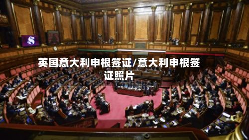 英国意大利申根签证/意大利申根签证照片