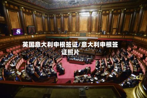 英国意大利申根签证/意大利申根签证照片-第3张图片