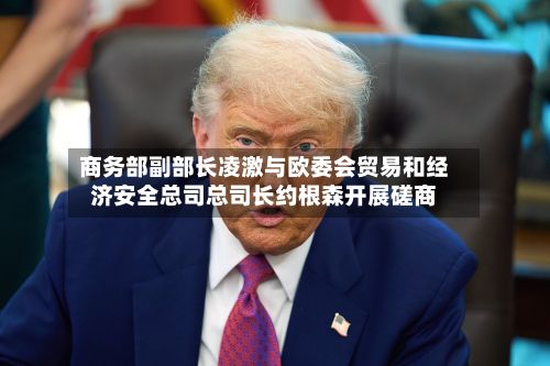 商务部副部长凌激与欧委会贸易和经济安全总司总司长约根森开展磋商-第1张图片