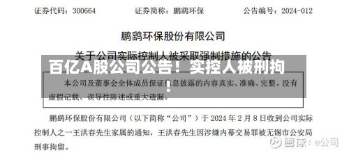 百亿A股公司公告!实控人被刑拘!
