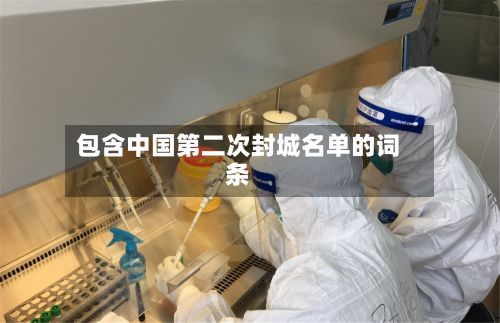 包含中国第二次封城名单的词条